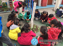 簇橋中心幼兒園孩子感受自然 親自種植樹