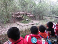 航天小學(xué)四年級學(xué)生暢游熊貓基地、動物