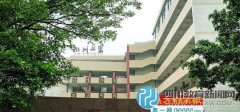 小學(xué)生頂樓教室上完課墜亡 疑似因被鎖翻